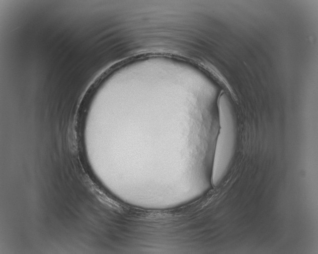 X0000082141068200702162137