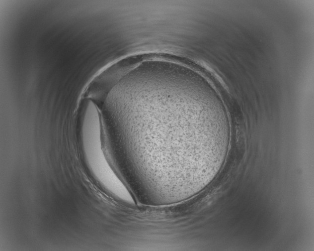 X0000082141069200702162137