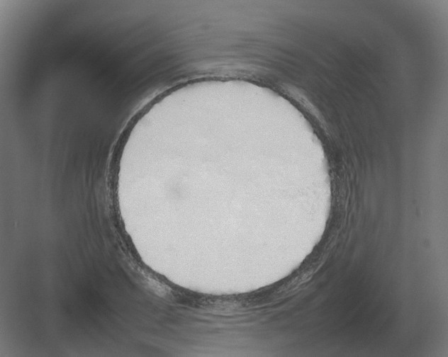 X0000082141071200702162137