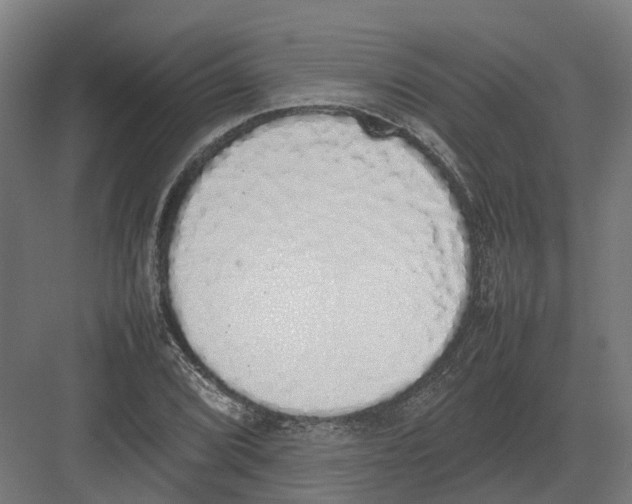 X0000082141072200702162137