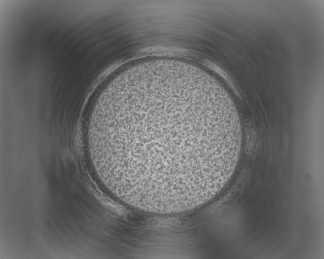 X0000082141074200702162137