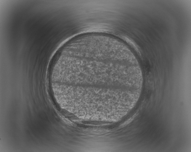 X0000082141077200702162136