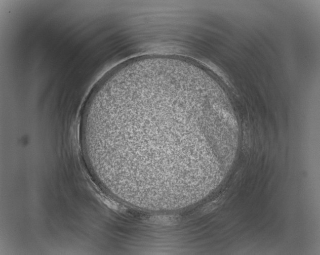 X0000082141078200702162136