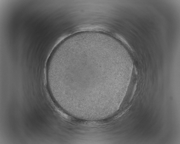 X0000082141079200702162136