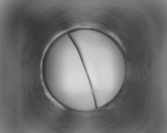 X0000082141080200702162136