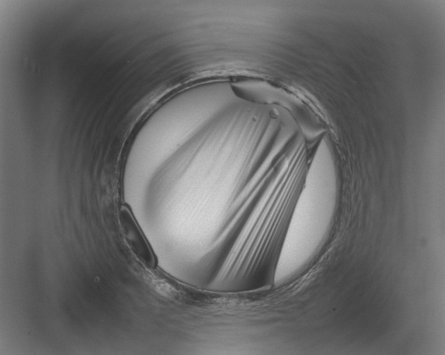 X0000082141081200702162136