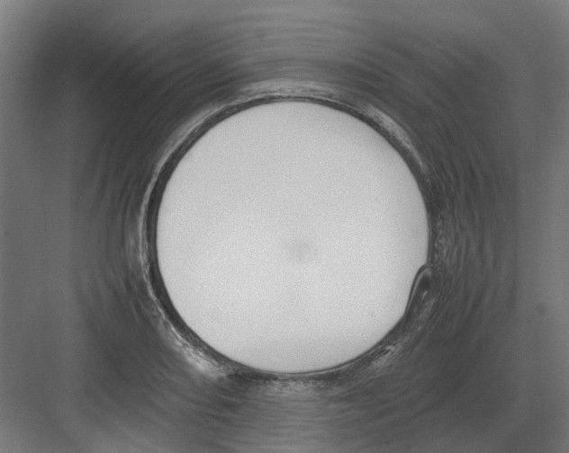 X0000082141082200702162136