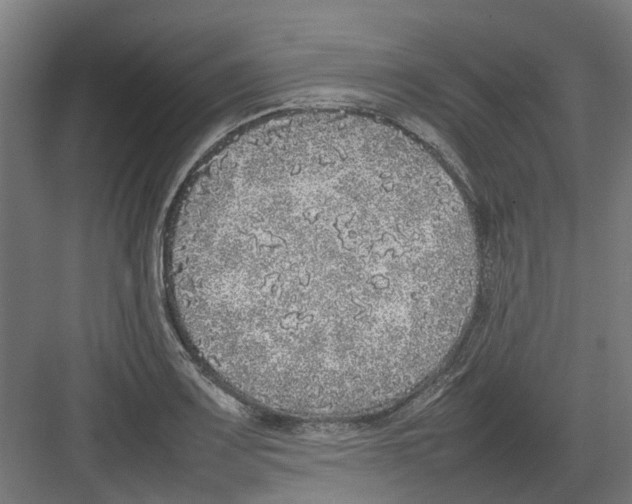 X0000082141083200702162136