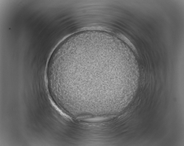 X0000082141084200702162136