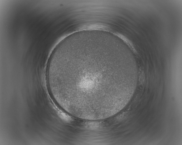 X0000082141086200702162136