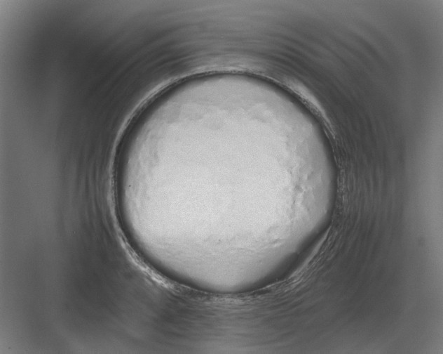 X0000082141088200702162136