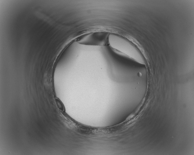 X0000082141089200702162136