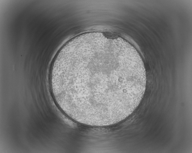 X0000082141091200702162136