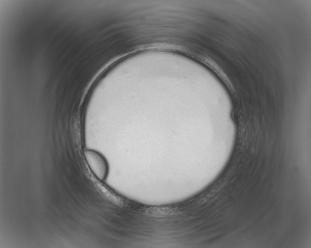 X0000082141092200702162136