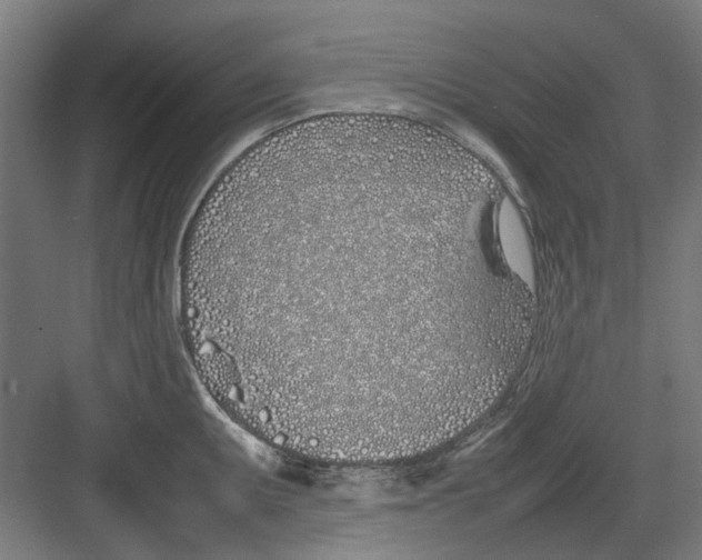 X0000082141095200702162136