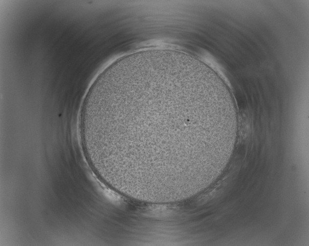 X0000082141098200702162136