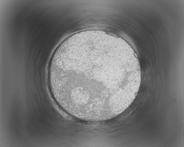 X0000082141099200702162136