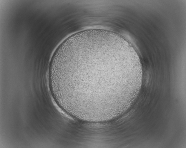 X0000082141100200702162136