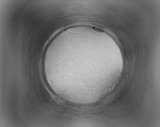 X0000082141101200702162136