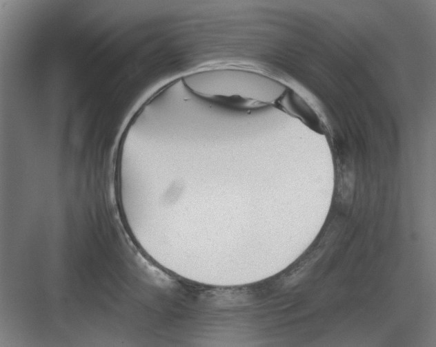 X0000082141102200702162136