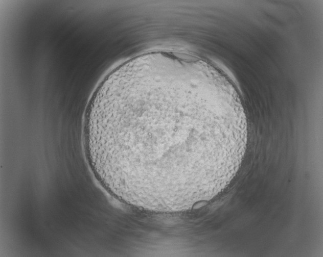 X0000082141103200702162136