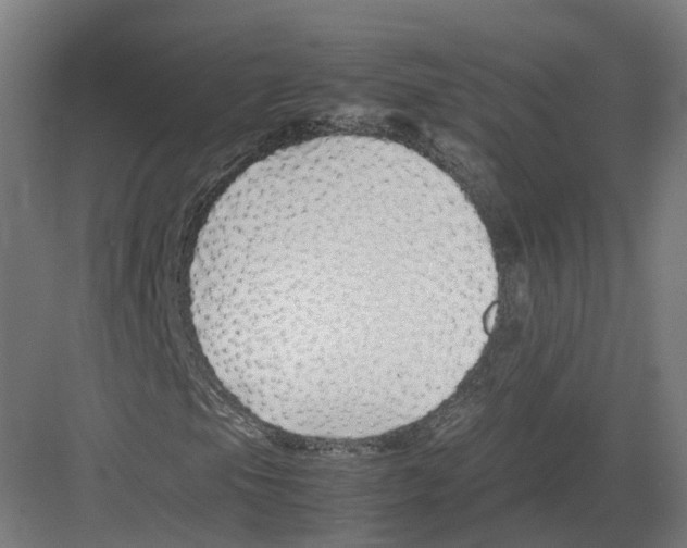 X0000082141105200702162135