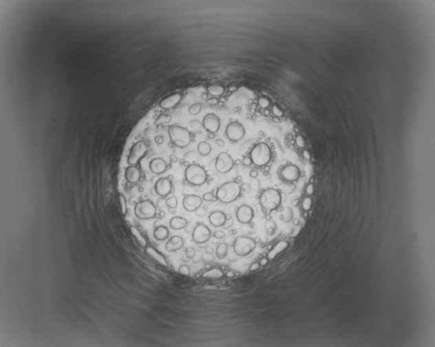 X0000082141106200702162135