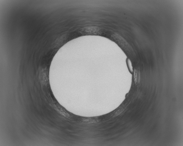 X0000082141107200702162135