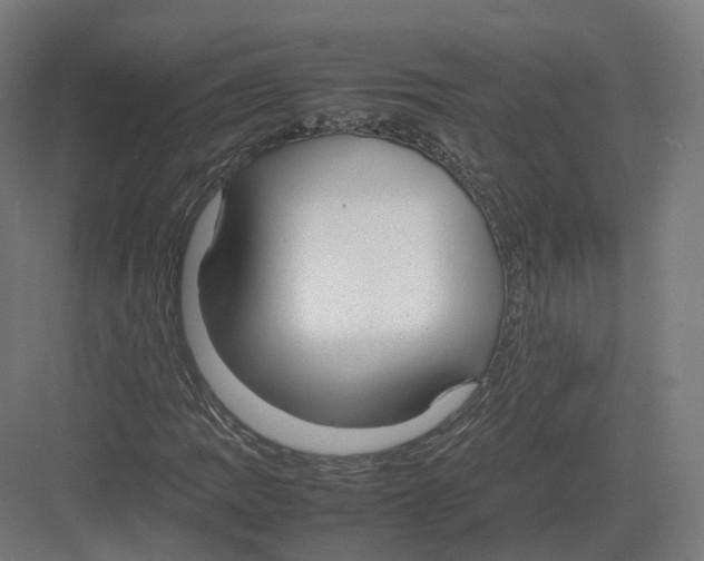 X0000082141109200702162135