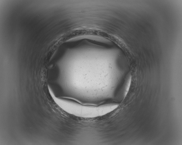 X0000082141110200702162135