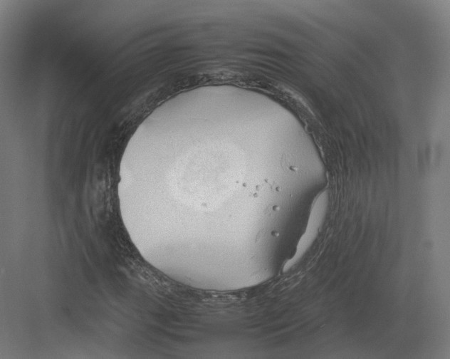 X0000082141111200702162135