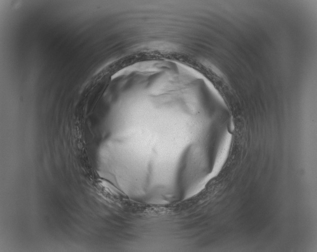 X0000082141112200702162135