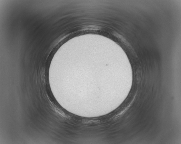 X0000082141113200702162135