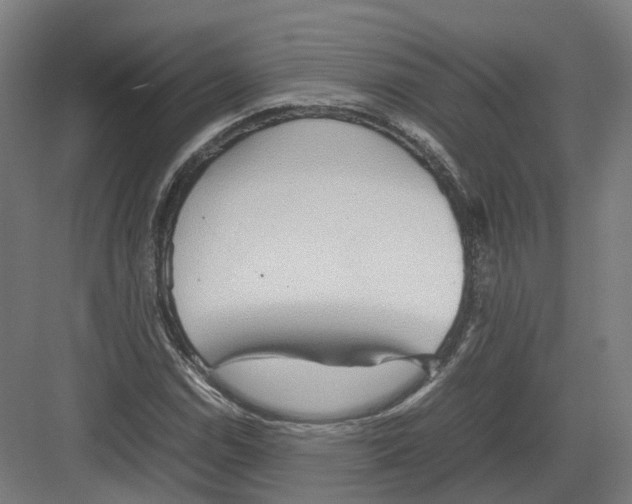 X0000082141114200702162135