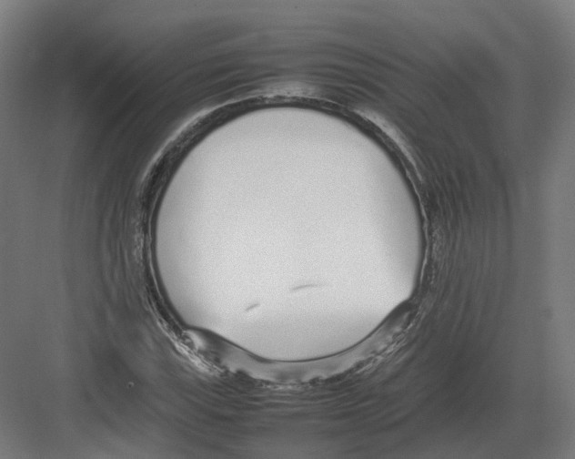 X0000082141115200702162135