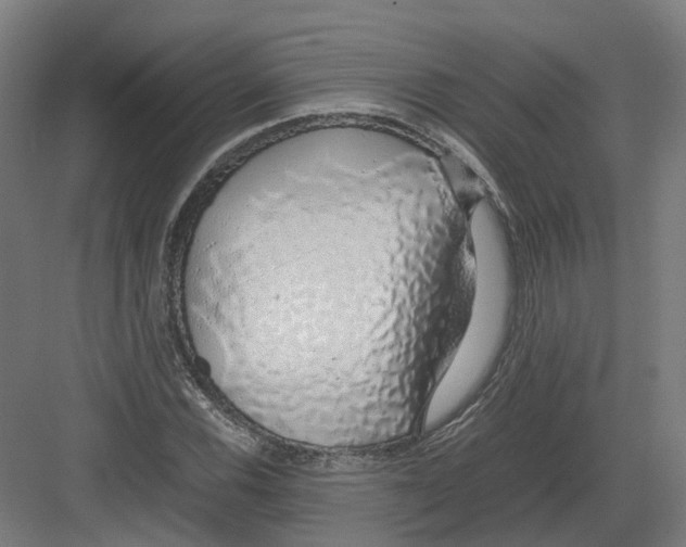 X0000082141116200702162135