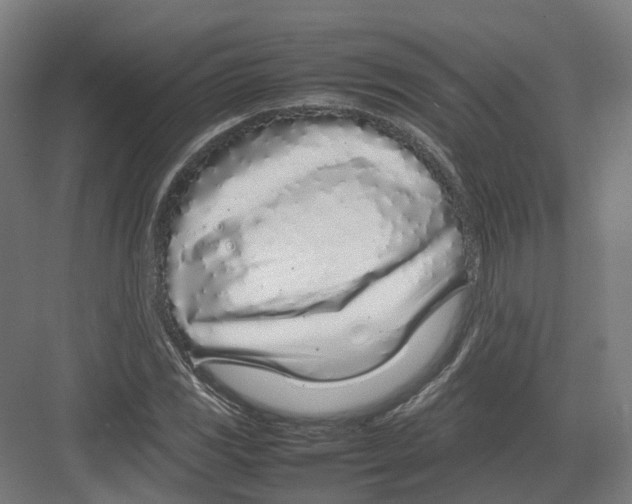 X0000082141117200702162135