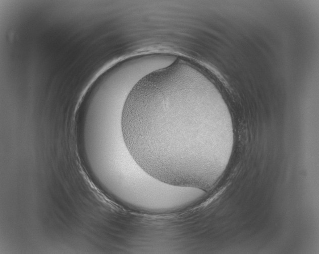 X0000082141118200702162135