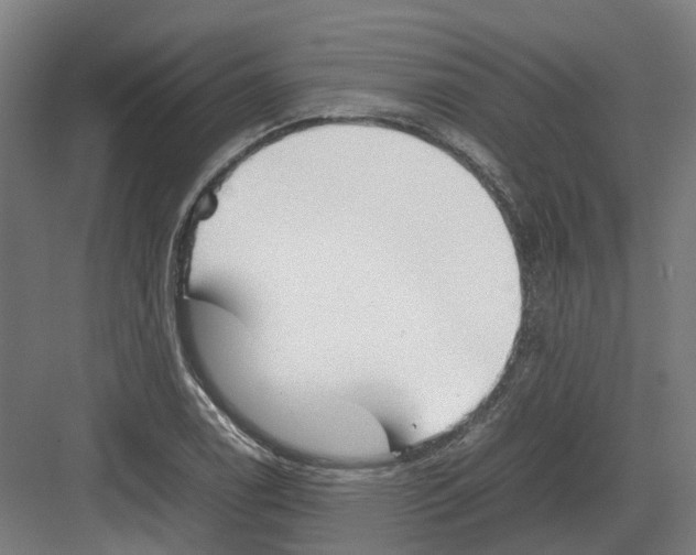 X0000082141122200702162136