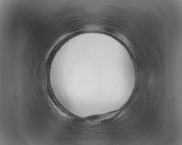 X0000082141123200702162136