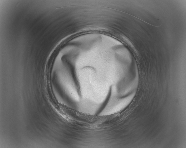 X0000082141124200702162136