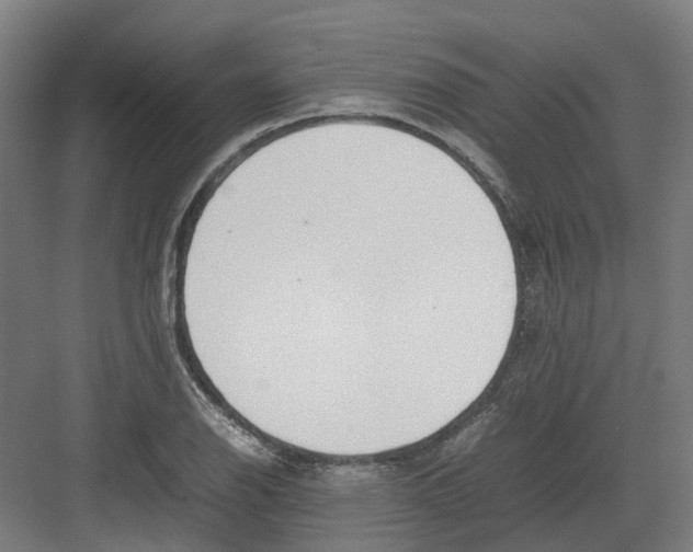 X0000082141126200702162136