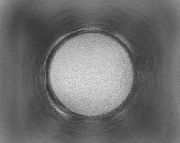 X0000082141127200702162136