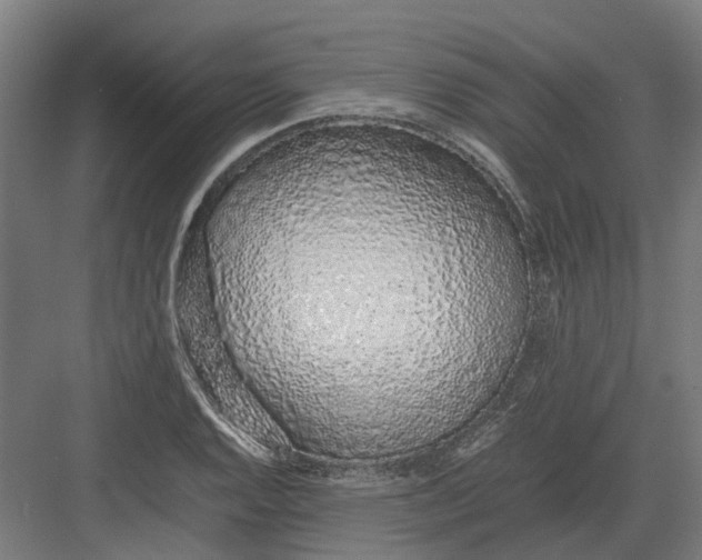 X0000082141128200702162136