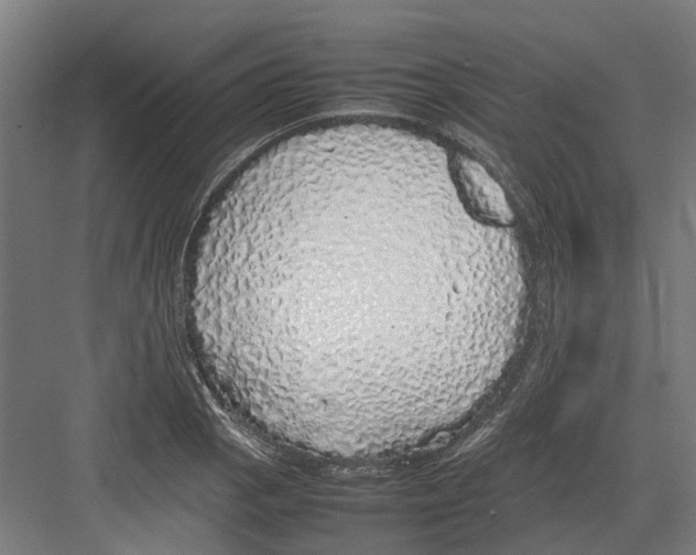 X0000082141129200702162136