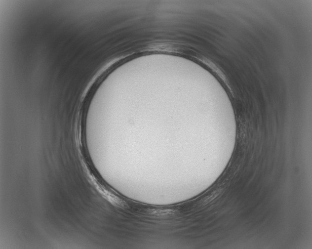 X0000082141131200702162136