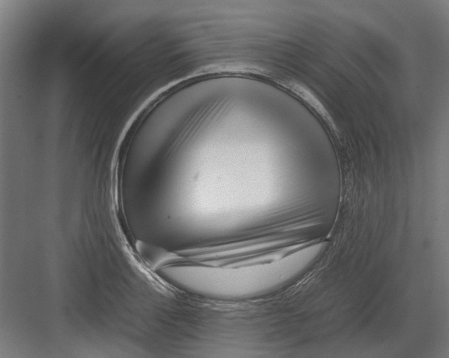 X0000082141132200702162136