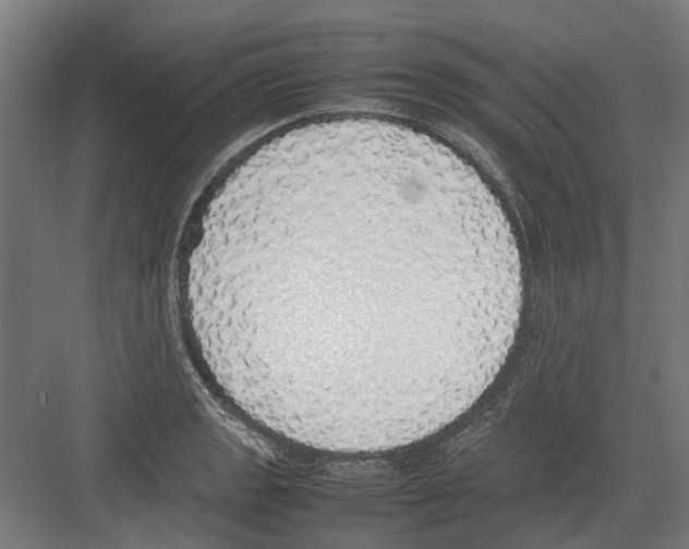 X0000082141133200702162136