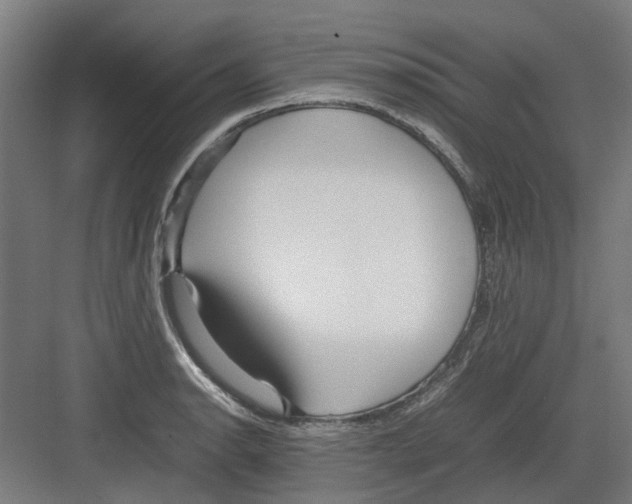 X0000082141134200702162136