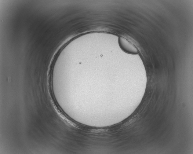 X0000082141135200702162136